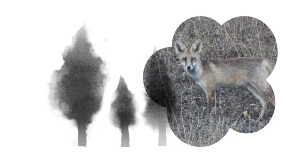 BLOG Sapiens – Imagen destacada POST (18)